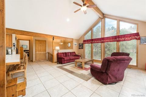 558 Mockingbird Trl, Bailey, CO 80421 photo 15