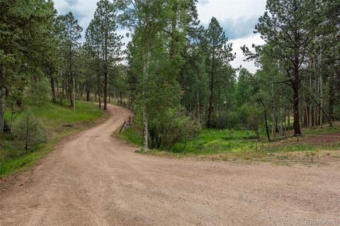558 Mockingbird Trl, Bailey, CO 80421 photo 2