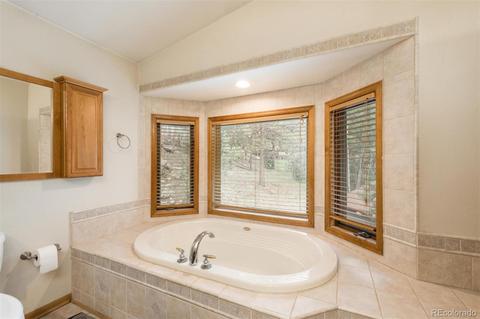 558 Mockingbird Trl, Bailey, CO 80421 photo 21