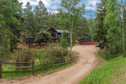 558 Mockingbird Trl, Bailey, CO 80421 photo 1