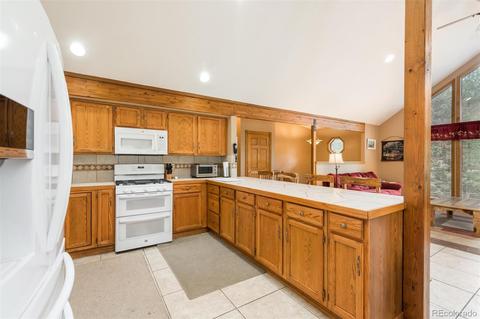 558 Mockingbird Trl, Bailey, CO 80421 photo 13