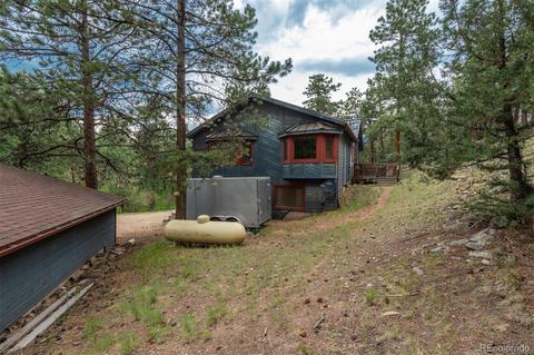 558 Mockingbird Trl, Bailey, CO 80421 photo 38
