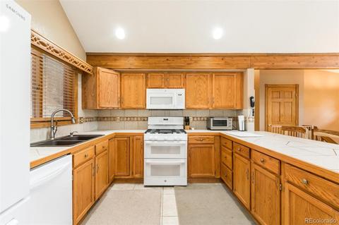 558 Mockingbird Trl, Bailey, CO 80421 photo 14