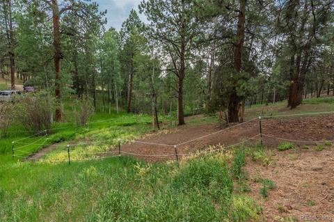 558 Mockingbird Trl, Bailey, CO 80421 photo 29