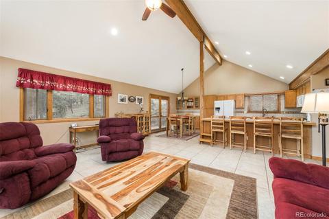558 Mockingbird Trl, Bailey, CO 80421 photo 8
