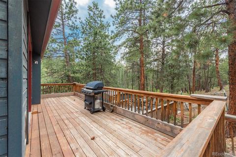 558 Mockingbird Trl, Bailey, CO 80421 photo 34