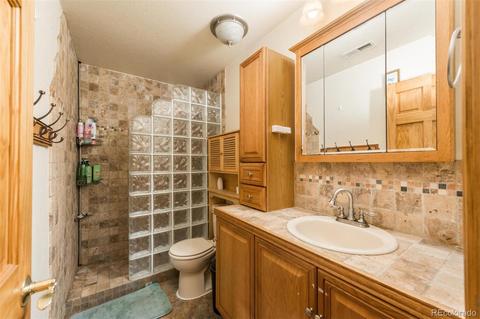 558 Mockingbird Trl, Bailey, CO 80421 photo 24