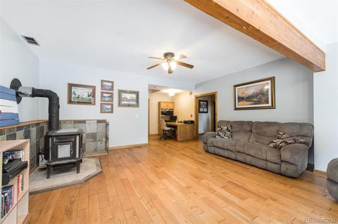 558 Mockingbird Trl, Bailey, CO 80421 photo 27