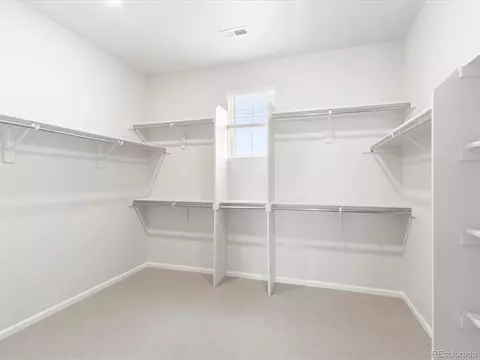 1601 Nathan River Dr, Windsor, CO 80550 photo 27