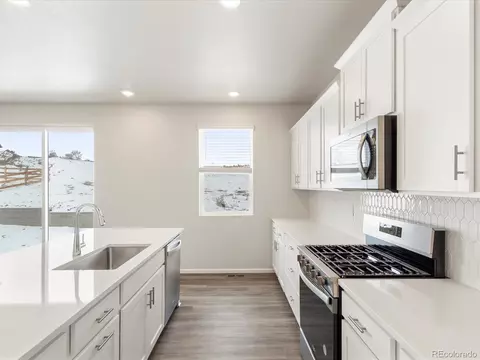 1601 Nathan River Dr, Windsor, CO 80550 photo 10