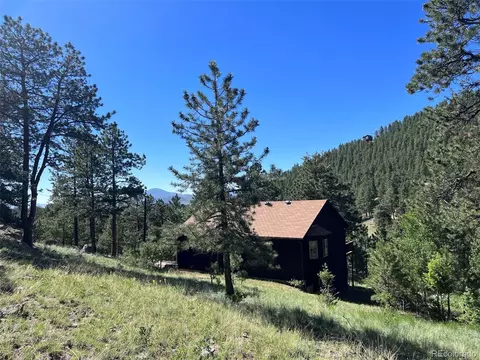 45 Catamount Ridge Rd, Bailey, CO 80421 photo 32