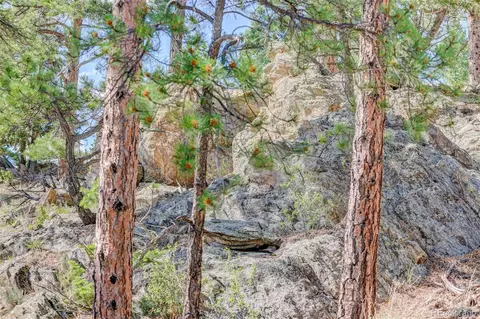 45 Catamount Ridge Rd, Bailey, CO 80421 photo 35