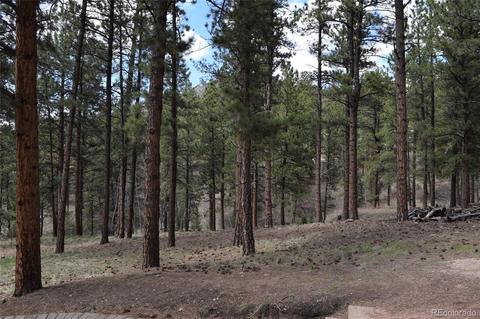 4072 County Road 72, Bailey, CO 80421 photo 4