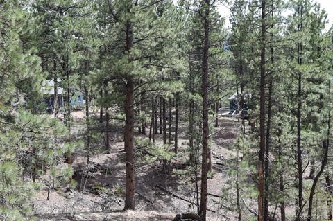 4072 County Road 72, Bailey, CO 80421 photo 27
