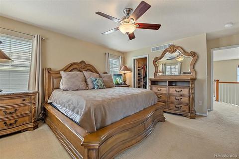 2143 Broadleaf Loop, Castle Rock, CO 80109 photo 20
