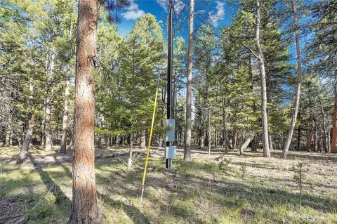 Molly Dr, Conifer, CO 80433 photo 7