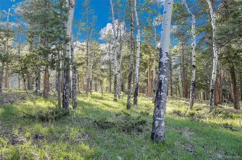 Molly Dr, Conifer, CO 80433