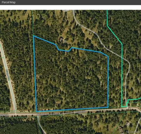 Molly Dr, Conifer, CO 80433 photo 30