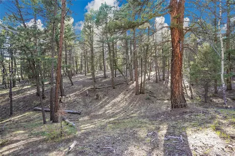 Molly Dr, Conifer, CO 80433 photo 11