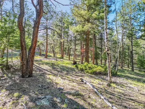Molly Dr, Conifer, CO 80433 photo 13