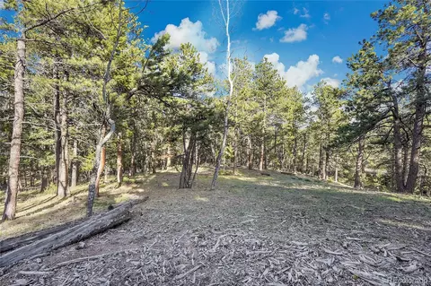Molly Dr, Conifer, CO 80433 photo 10