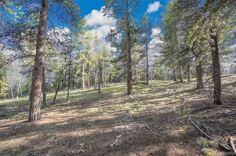 Molly Dr, Conifer, CO 80433 photo 8