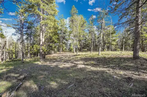 Molly Dr, Conifer, CO 80433 photo 4