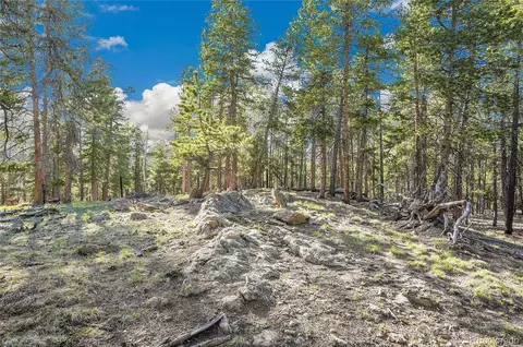 Molly Dr, Conifer, CO 80433 photo 12