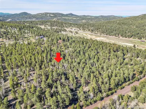 Molly Dr, Conifer, CO 80433 photo 24