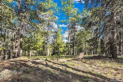 Molly Dr, Conifer, CO 80433 photo 9