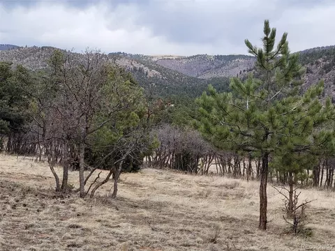 L37 Bird Point Drive, Cotopaxi, CO 81240