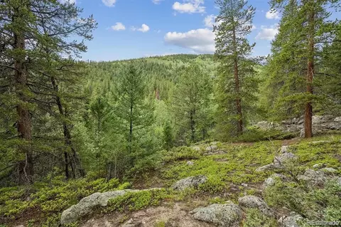 001 Fall River Rd, Idaho Springs, CO 80452