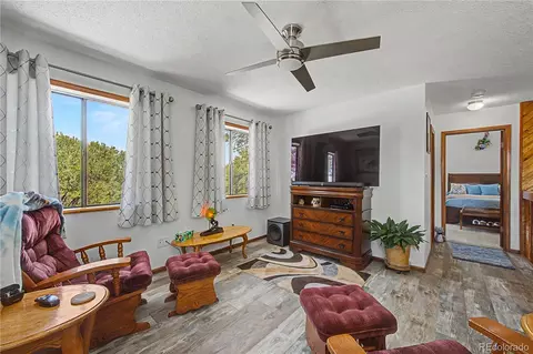 Living - 539 12th Trl, Cotopaxi, CO 81223 photo 1 of 1