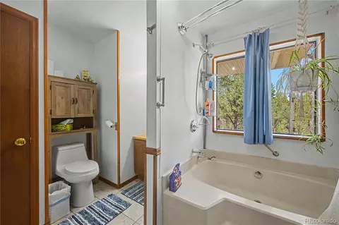 Bath - 539 12th Trl, Cotopaxi, CO 81223 photo 2 of 4