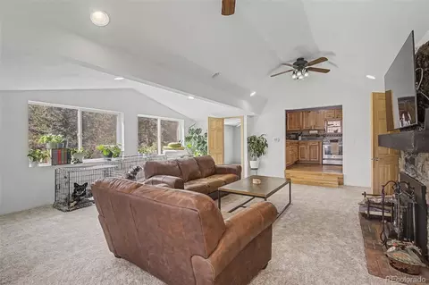 Other - 10116 Sprucedale Dr, Conifer, CO 80433 photo 4 of 15