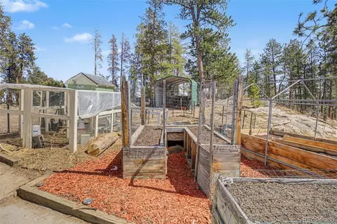 Exterior - 10116 Sprucedale Dr, Conifer, CO 80433 photo 4 of 10