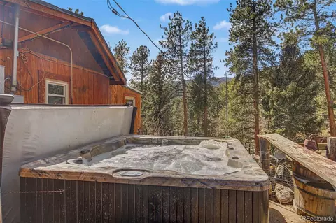 Other - 10116 Sprucedale Dr, Conifer, CO 80433 photo 9 of 15