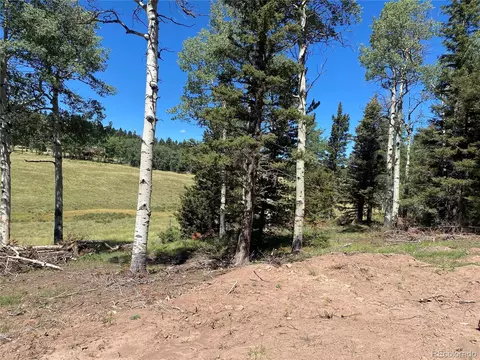 2841 Wendt Ln, Fort Garland, CO 81133