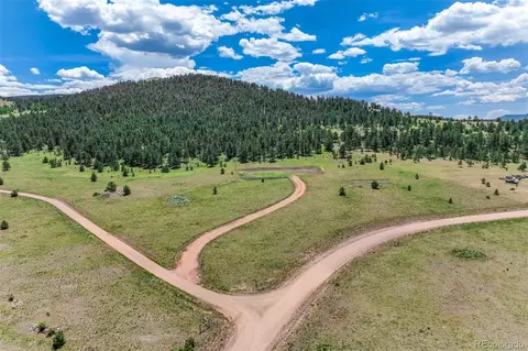 64 Nancy Ann Arroyo, Guffey, CO 80820
