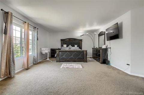 21517 E 53rd Pl, Denver, CO 80249 photo 18