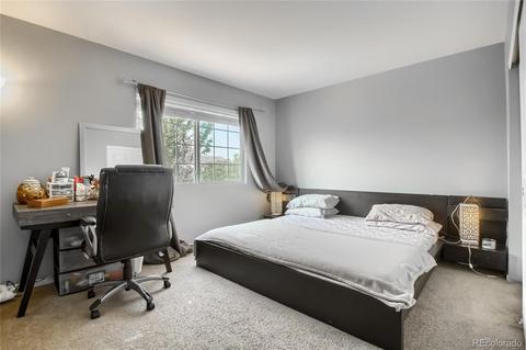 21517 E 53rd Pl, Denver, CO 80249 photo 21