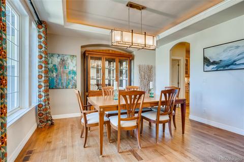 9179 E Lost Hill Dr, Lone Tree, CO 80124 photo 7