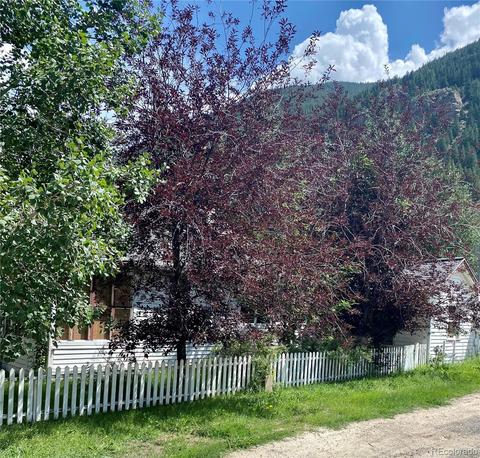 900 Griffith St, Georgetown, CO 80444 photo 15