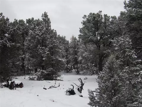 2119 2120 Oriole Overlook, Crestone, CO 81131