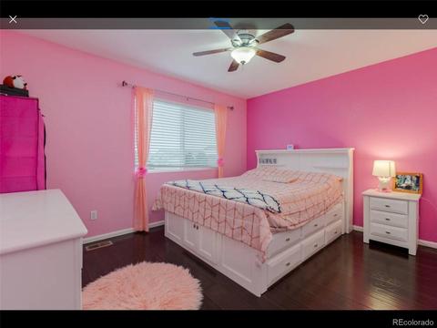 21557 E 53rd Pl, Denver, CO 80249 photo 19