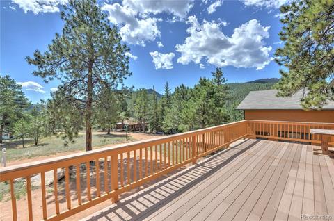 16745 S 6 Th St, Pine, CO 80470 photo 6