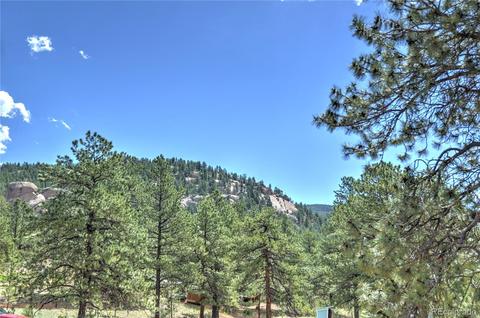 16745 S 6 Th St, Pine, CO 80470 photo 9