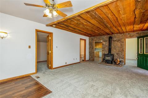 16745 S 6 Th St, Pine, CO 80470 photo 16
