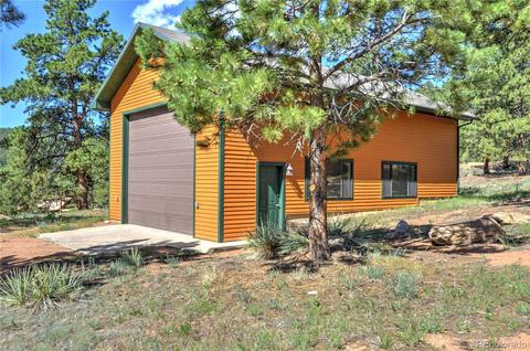 16745 S 6 Th St, Pine, CO 80470 photo 27