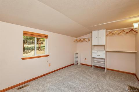 16745 S 6 Th St, Pine, CO 80470 photo 23